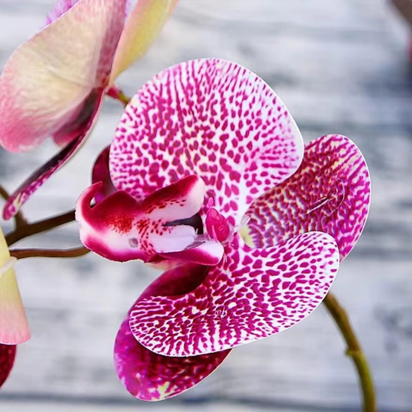 3D Artificial Flowers Plastic  - Outdoor Furniture Usa review and price
